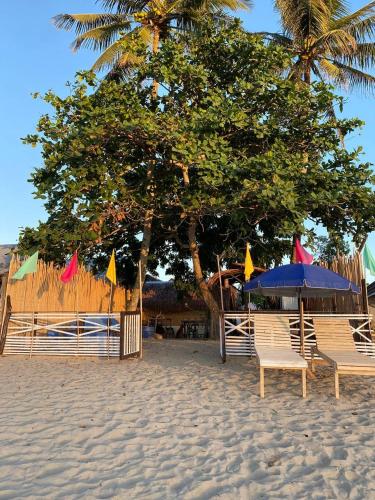 a group of chairs and umbrellas on a beach at Seaside Camp Bucana in El Nido