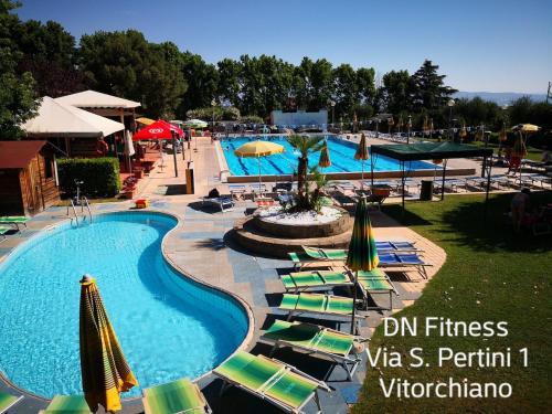 uma piscina num resort com espreguiçadeiras e guarda-sóis em Casetta dei Nonni em Vitorchiano
