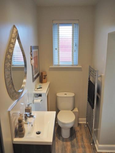 a bathroom with a toilet and a sink and a mirror at Good stay at 91 in Silsden