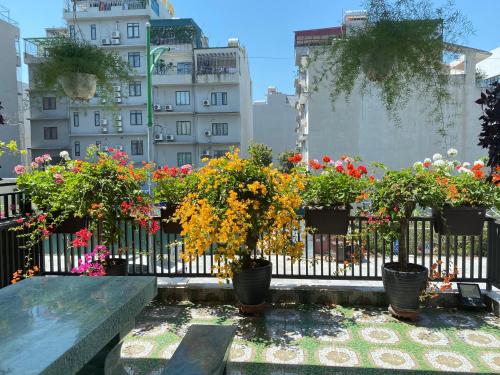 una recinzione con piante in vaso e edifici di Solar Hotel a Ha Long