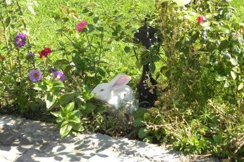 a white bunny sitting in a field of flowers at Pensiunea Criveanu in Horezu
