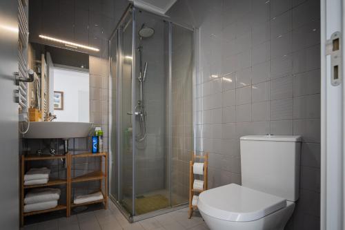 uma casa de banho com um chuveiro, um WC e um lavatório. em Quinta do Ferreiro em Ponta Delgada
