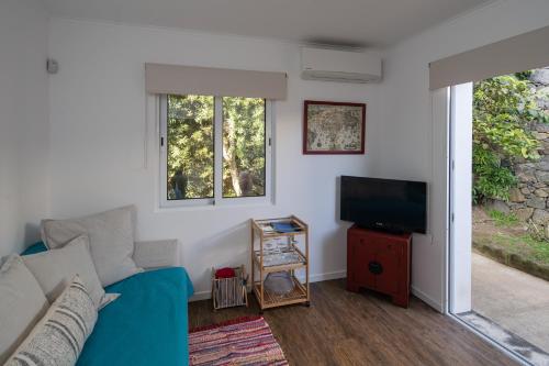 a living room with a blue couch and a tv at Quinta do Ferreiro in Ponta Delgada