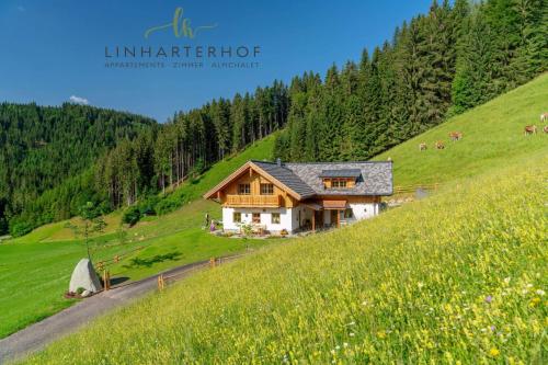 a house on the side of a hill at Almchalet Linharterhof in Haus im Ennstal