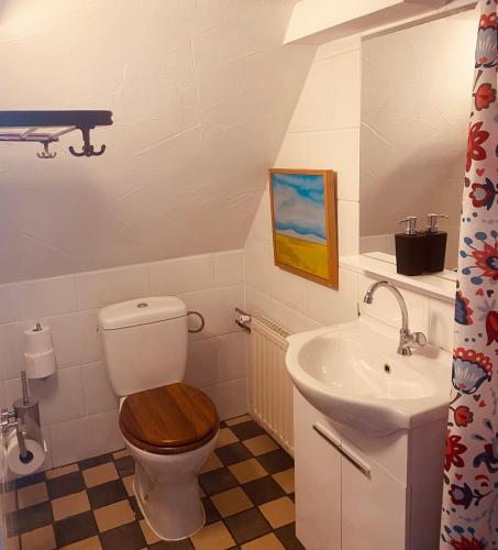 a bathroom with a toilet and a sink at Vakantie appartement Goedereede let op de badkamer moet met andere gasten gedeeld worden in Goedereede