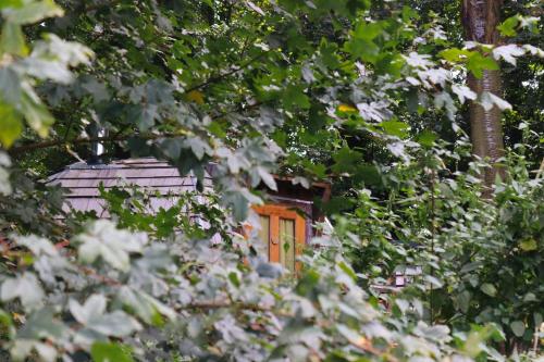 Oku Wooden Pod, Newburgh Priory Estate photo 41