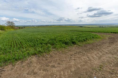 a dirt road in the middle of a green field at Supreme Class Properties in Eastchurch