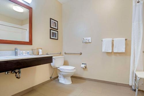 a bathroom with a toilet and a sink and a mirror at Comfort Inn Greenville I-65 in Greenville