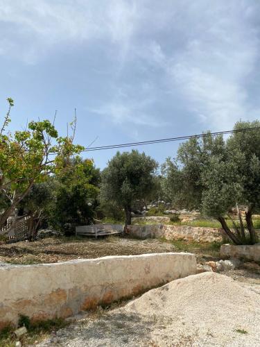 Φωτογραφία από το άλμπουμ του Iskele park Butik Otel σε Demre