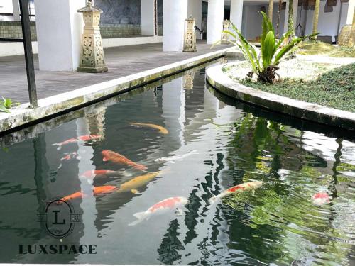 Majoituspaikassa Kuching Cozy Balinese Style Rex Apartment Near BDC tai sen lähellä sijaitseva uima-allas