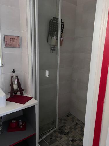 um chuveiro com uma porta de vidro na casa de banho em Bougain Villa Self-catering ,Darling em Darling