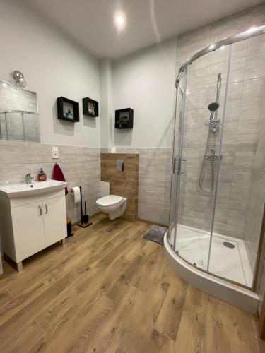 La salle de bains est pourvue d'une douche, de toilettes et d'un lavabo. dans l'établissement Apartamenty przy Starym Mieście, à Częstochowa