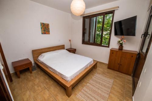 een slaapkamer met een bed, een tv en een raam bij Anesis House in Stroumbi