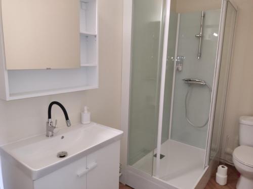 Un baño con ducha, lavabo e inodoro. en Le charme Centre Parking wifi, en Châteauroux