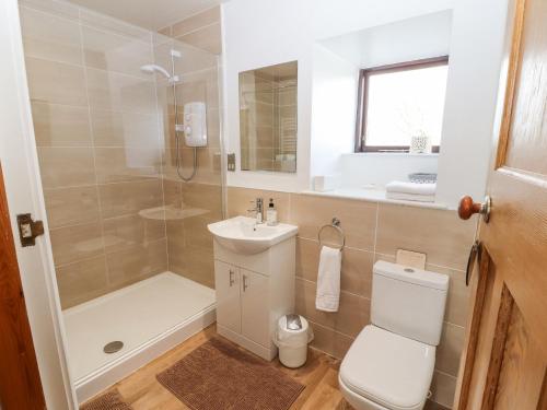 a bathroom with a toilet and a shower and a sink at Barn Cottage in Carnforth