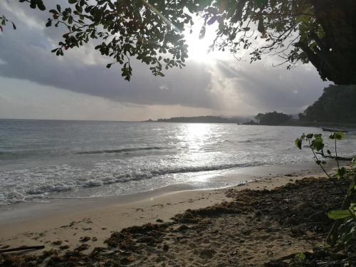 a beach with the sun shining on the water at Port Antonio Brian's Beach House in Port Antonio