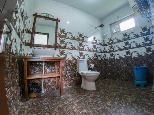 HaripūrにあるThe Dargeli's Lodge, Manaliのバスルーム(トイレ、洗面台、鏡付)