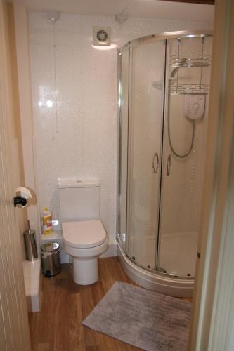 a small bathroom with a toilet and a shower at Honeysuckle in Crayke YO61 4TE in York