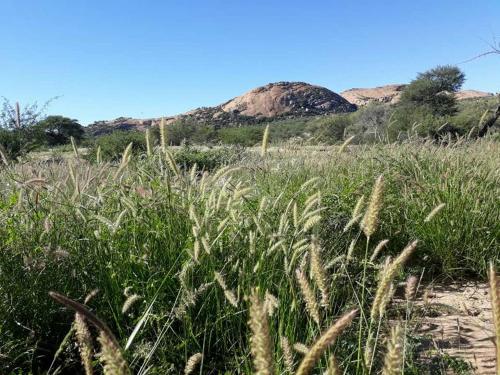 a field of tall grass with a mountain in the background at Camp Mara in Omaruru