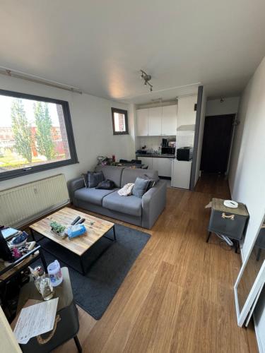 ein Wohnzimmer mit einem Sofa und einem Tisch in der Unterkunft Rijsel Vlamse in Lille