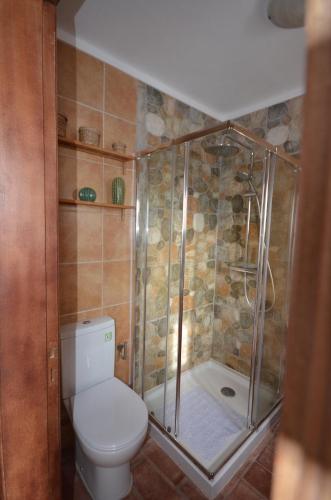 a bathroom with a toilet and a shower with a glass shower stall at Casa Fernanda in Fuzeta
