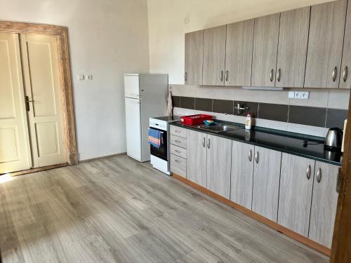 a kitchen with a refrigerator and a counter top at Hostel RK in Horažďovice