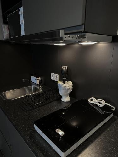 uma cozinha com uma bancada com um lavatório e um fogão em YA House em Budapeste