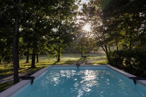 una piscina con il sole che splende tra gli alberi di L ost in Sensations -Hébergements Insolites et Suites de luxe Spa Sauna Piscine Forêt a Marcenas