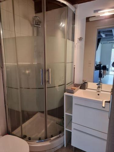 une salle de bain avec une douche, des toilettes et un lavabo dans l'établissement Maison Bretagne, à Saint-Jacut-de-la-Mer