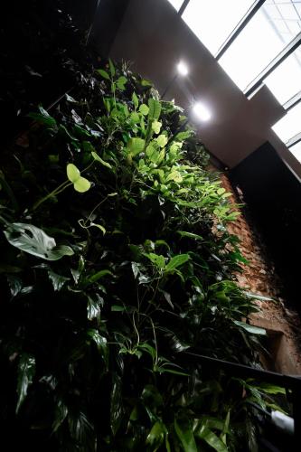 a room filled with lots of green plants at Pullman Riga Old Town in Rīga