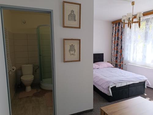 sypialnia z łóżkiem oraz łazienka z toaletą w obiekcie Pension U Stašáků w mieście Jetřichovice