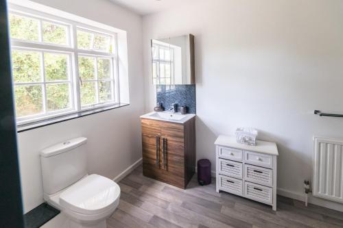 a bathroom with a toilet and a sink and a mirror at The Cherry Tree Inn in Ticehurst