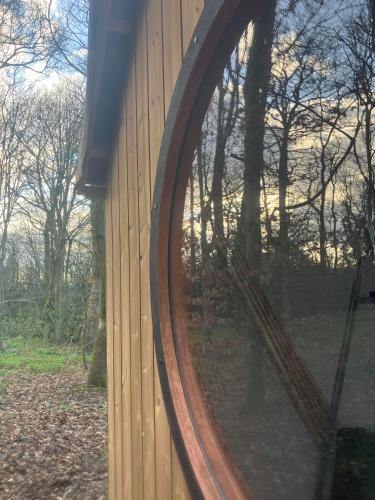 Sugi wooden pod photo 24