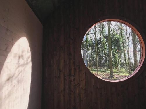 Sugi wooden pod photo 23