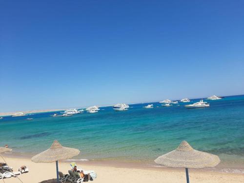 Oscar luxury free WiFi 15