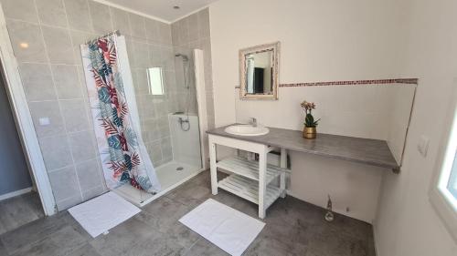 a bathroom with a sink and a shower at Chez Delphine in Vatan