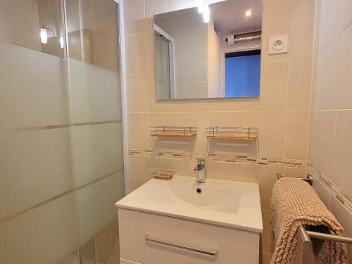 a bathroom with a sink and a mirror at Appartement Saint-Michel-de-Chaillol, 3 pièces, 4 personnes - FR-1-393-139 in Saint-Michel-de-Chaillol