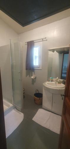 een badkamer met een wastafel, een douche en een spiegel bij Chez Dom & Albert in Saint-Cézaire-sur-Siagne