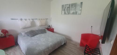 een slaapkamer met een bed met twee kussens erop bij Chez Dom & Albert in Saint-Cézaire-sur-Siagne