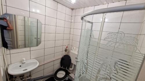 ein Badezimmer mit einem WC, einem Waschbecken und einem Spiegel in der Unterkunft Stejarului App25 in Floreşti