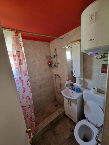a bathroom with a toilet and a shower and a sink at Villa Mia in Sarajevo
