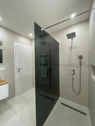 a bathroom with a shower with a glass door at BORIĆI in Bihać