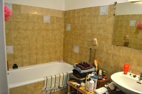 une salle de bain avec une baignoire et un lavabo dans l'établissement Appartement super clair, à Nice