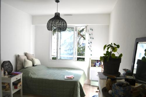 une chambre avec un lit et une plante en pot dans l'établissement Appartement super clair, à Nice