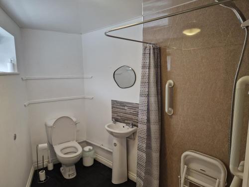 Baño pequeño con aseo y lavamanos en West Beck House - Newcastle 1, en North Shields