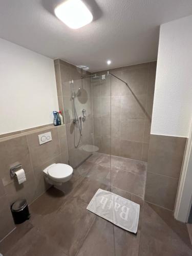 W łazience znajduje się prysznic, toaleta i przeszklona kabina prysznicowa. w obiekcie Ferienwohnung am Yachthafen w mieście Kressbronn am Bodensee