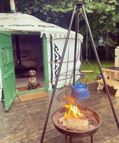 a dog sitting in a tent with a fire at Eisa Yurt in York