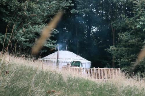 a large white tent in a field with trees at Eisa Yurt in York