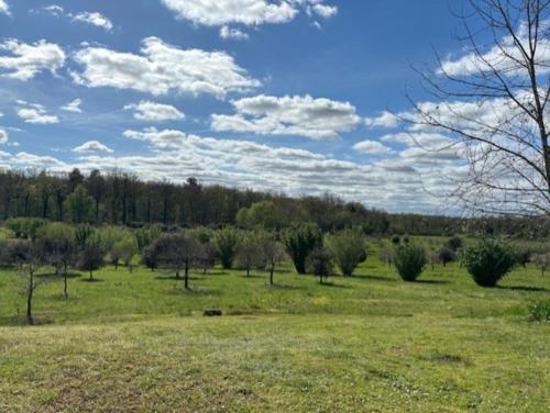 Photo de la galerie de l'établissement La Truffière des Mérigots, à Gabillou