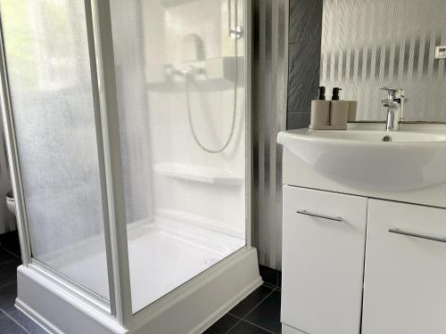 biała łazienka z prysznicem i umywalką w obiekcie Mini Apartment mit Garten und Küche w mieście Ilbenstadt